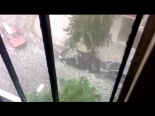 Как защитить машину от града