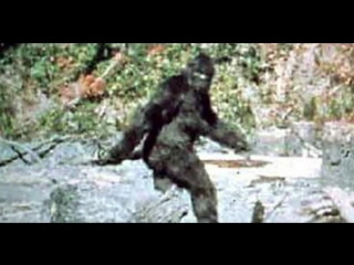 7 Жутких и Загадочных Созданий, Заснятых на Видео