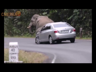 Приколы июль 2016 №126