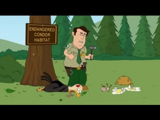 Редкий вид птиц