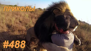 Приколы июль 2019 №488